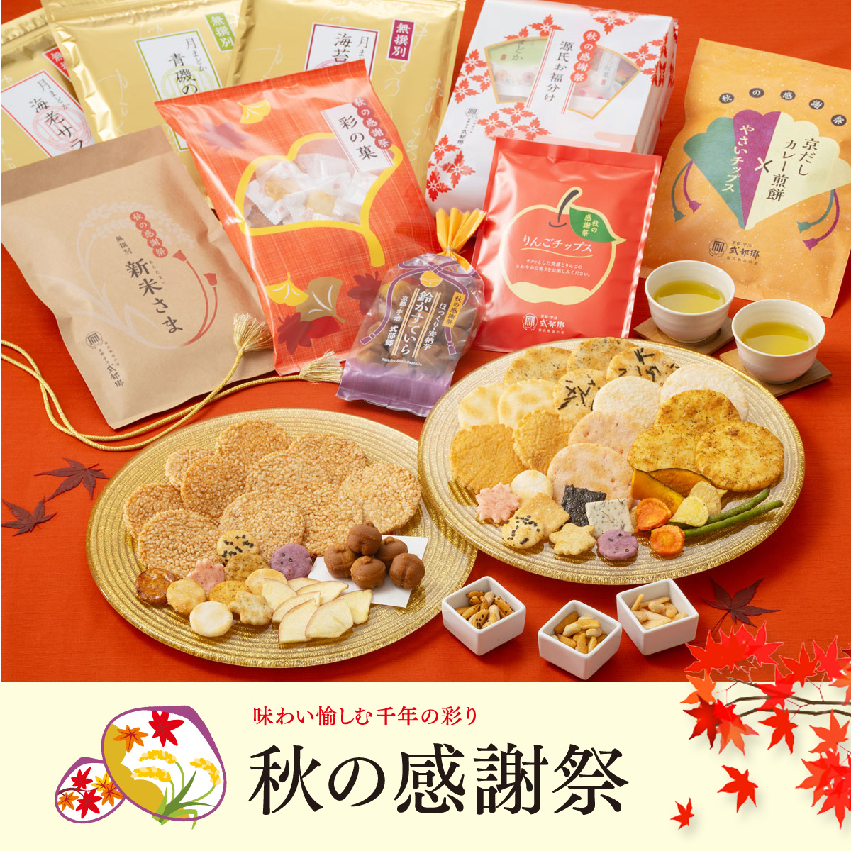 もちきち＠即購入OK様 専用ページ もち吉 もち吉様専用出品ページ ナツ⭐️